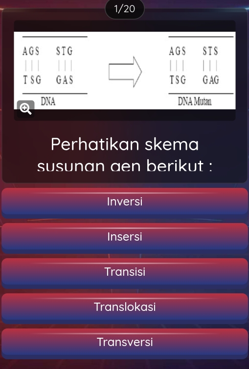 1/20
A G S STG A G S S TS
| 
T S G G A S TSG G AG
DNA DNA Mutan
Perhatikan skema
susunan aen berikut :
Inversi
Insersi
Transisi
Translokasi
Transversi