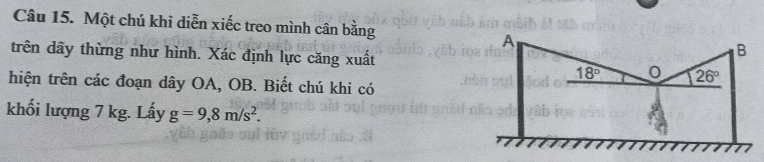 Một chú khi diễn xiếc treo mình cân bằng
trên dây thừng như hình. Xác định lực căng xuất
hiện trên các đoạn dây OA, OB. Biết chú khi có
khối lượng 7 kg. Lấy g=9,8m/s^2.