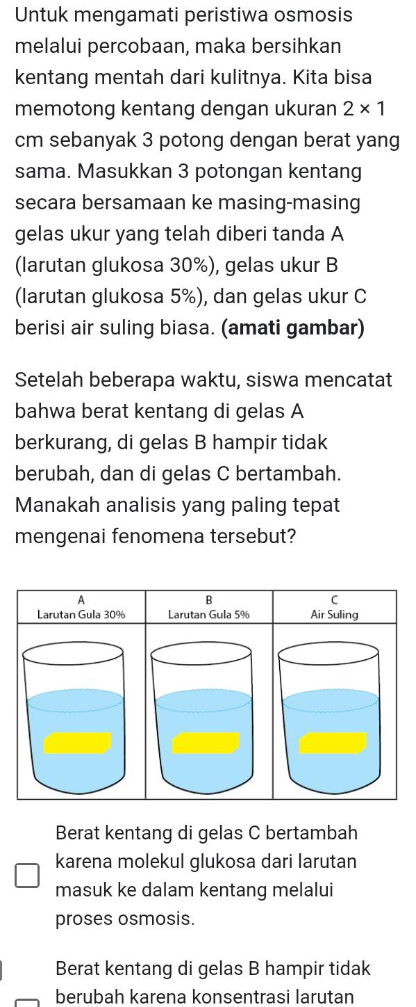 Untuk mengamati peristiwa osmosis
melalui percobaan, maka bersihkan
kentang mentah dari kulitnya. Kita bisa
memotong kentang dengan ukuran 2* 1
cm sebanyak 3 potong dengan berat yang
sama. Masukkan 3 potongan kentang
secara bersamaan ke masing-masing
gelas ukur yang telah diberi tanda A
(larutan glukosa 30%), gelas ukur B
(larutan glukosa 5%), dan gelas ukur C
berisi air suling biasa. (amati gambar)
Setelah beberapa waktu, siswa mencatat
bahwa berat kentang di gelas A
berkurang, di gelas B hampir tidak
berubah, dan di gelas C bertambah.
Manakah analisis yang paling tepat
mengenai fenomena tersebut?
A
B
C
Larutan Gula 30% Larutan Gula 5% Air Suling
Berat kentang di gelas C bertambah
karena molekul glukosa dari larutan
masuk ke dalam kentang melalui
proses osmosis.
Berat kentang di gelas B hampir tidak
berubah karena konsentrasi larutan