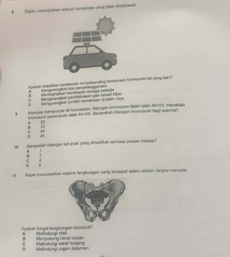 Rajah menunjukkan sebuah kenderaan yang tolah diubahsuai.
Apakah kelebihan kenderaan ini berbanding kenderaan konvensional yang lain?
A Mengurangkan kos penyelenggaraan
B Meningkatkan kecekapan tenaga pekerja
C Mengurangkan pembebasan gas rumah hijau
D Mengurangkan jumlah kenderaan di jalan raya
9 Manusia mempunyai 46 kromosom. Bilangan kromosom lelaki ialah 44+XY , manakała
kromosom perempuan ialah 44+XX. Berapakah bilangan kromosom bagi sperma?
A 22
B 23
C 44
D 46
10 Berapakah bilangan sel anak yang dihasilkan semasa proses meosis?
A 1
B 2
C 4
D 8
11 Rajah menunjukkan sejenis lengkungan yang terdapat dalam sistem rangka manusia.
Apakah fungsi lengkungan tersebut?
A Melindungi otak
B Menyokong berat badan
C Melindungi saraf tunjang
D Melindungi organ dalaman