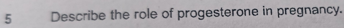 Describe the role of progesterone in pregnancy.