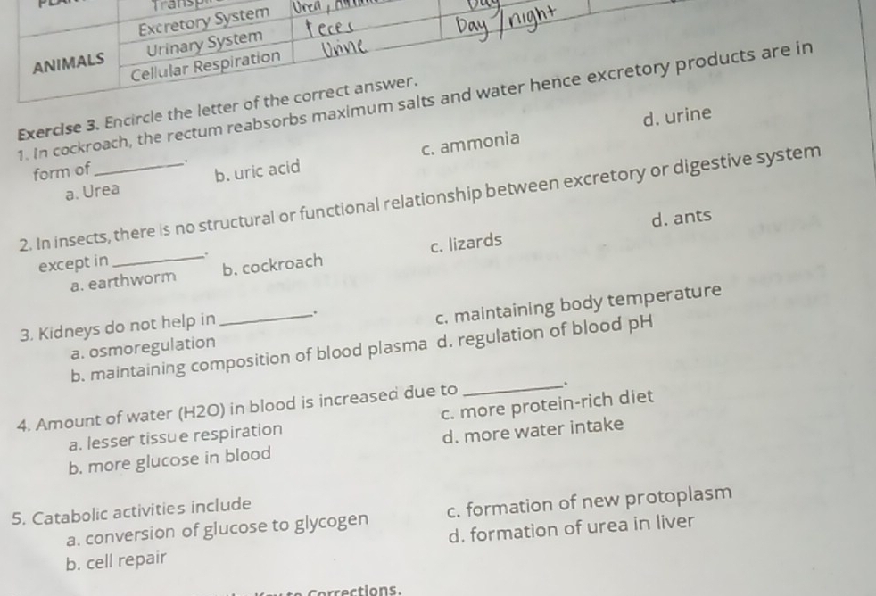 Transp
Excretory System
ANIMALS Urinary System
Cellular Respiration
1. In cockroach, the rectum reabsorbs maximum salts and water hence excretory products are in
Exercise 3. Encircle the letter of the correct answer.
d. urine
a. Urea b. uric acid c. ammonia
form of
.
2. In insects, there is no structural or functional relationship between excretory or digestive system
except in _d. ants
.
a. earthworm b. cockroach c. lizards
a. osmoregulation_ c. maintaining body temperature
3. Kidneys do not help in
、.
b. maintaining composition of blood plasma d. regulation of blood pH
_.
4. Amount of water (H2O) in blood is increased due to c. more protein-rich diet
a. lesser tissue respiration
b. more glucose in blood d. more water intake
5. Catabolic activities include
a. conversion of glucose to glycogen c. formation of new protoplasm
b. cell repair d. formation of urea in liver
Corrections.