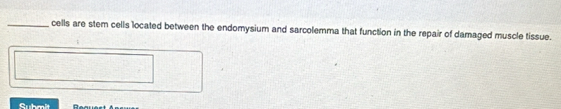 cells are stem cells located between the endomysium and sarcolemma that function in the repair of damaged muscle tissue. 
Submit