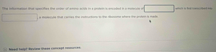 The Information that specifies the order of amino acids in a protein is encoded in a molecule of which is first transcribed into 
a molecule that carries the instructions to the ribosome where the protein is made. 
Need help? Review these concept resources.