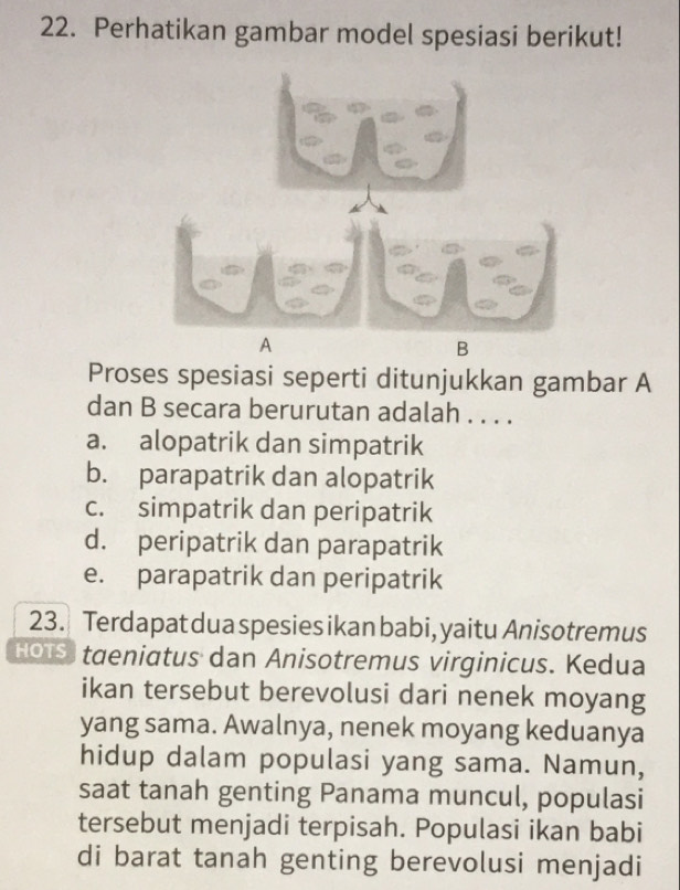 Perhatikan gambar model spesiasi berikut!
A
B
Proses spesiasi seperti ditunjukkan gambar A
dan B secara berurutan adalah . . . .
a. alopatrik dan simpatrik
b. parapatrik dan alopatrik
c. simpatrik dan peripatrik
d. peripatrik dan parapatrik
e. parapatrik dan peripatrik
23. Terdapat dua spesies ikan babi, yaitu Anisotremus
HOTS taeniatus dan Anisotremus virginicus. Kedua
ikan tersebut berevolusi dari nenek moyang
yang sama. Awalnya, nenek moyang keduanya
hidup dalam populasi yang sama. Namun,
saat tanah genting Panama muncul, populasi
tersebut menjadi terpisah. Populasi ikan babi
di barat tanah genting berevolusi menjadi