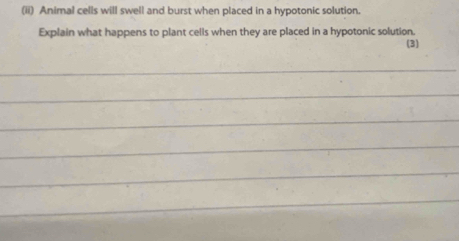 (ii) Animal cells will swell and burst when placed in a hypotonic solution. 
Explain what happens to plant cells when they are placed in a hypotonic solution. 
(3) 
_ 
_ 
_ 
_ 
_ 
_