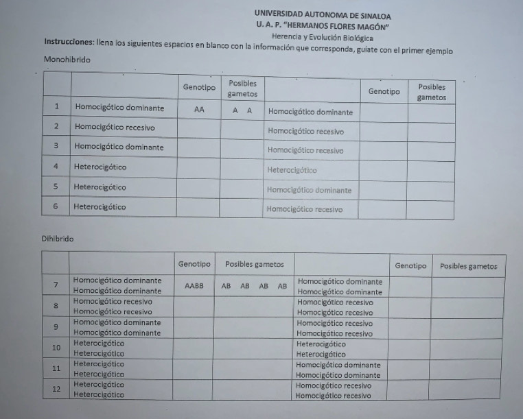 UNIVERSIDAD AUTONOMA DE SINALOA 
U. A. P. "HERMANOS FLORES MAGÓN" 
Herencia y Evolución Biológica 
Instrucciones: llena los siguientes espacios en blanco con la información que corresponda, guíate con el primer ejemplo 
Monohibrido 
Dihibrido