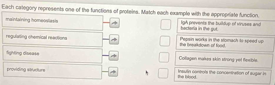 Each category represents one of the functions of proteins. Match each example with the appropriate function.
IgA prevents the buildup of viruses and
maintaining homeostasis bacteria in the gut.
Pepsin works in the stomach to speed up
regulating chemical reactions the breakdown of food.
fighting disease Collagen makes skin strong yet flexible.
Insulin controls the concentration of sugar in
providing structure the blood.