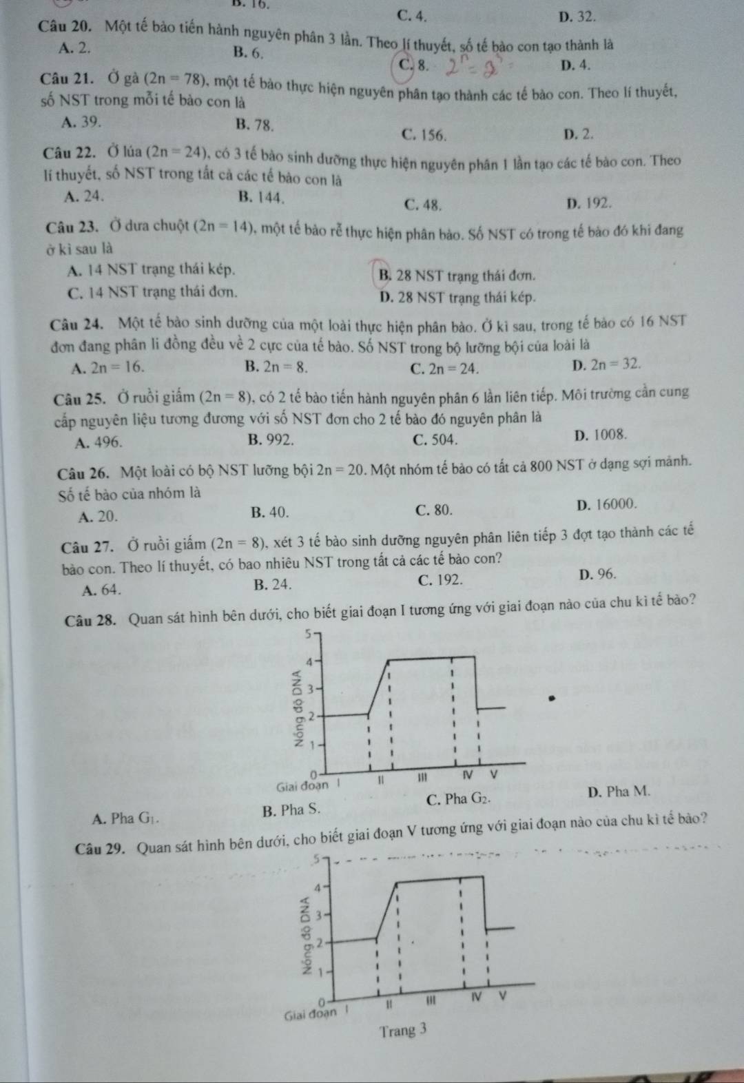 B. 16. C. 4. D. 32.
Câu 20. Một tế bảo tiến hành nguyên phân 3 lần. Theo lí thuyết, số tế bào con tạo thành là
A. 2.
B. 6.
C. 8. D. 4.
Câu 21. Ở gà (2n=78) 0, một tế bào thực hiện nguyên phân tạo thành các tế bào con. Theo lí thuyết,
số NST trong mỗi tế bào con là
A. 39. B. 78.
C. 156. D. 2.
Câu 22. Ở lúa (2n=24) 0, có 3 tế bào sinh dưỡng thực hiện nguyên phân 1 lần tạo các tế bào con. Theo
lí thuyết, số NST trong tất cả các tế bào con là
A. 24. B. 144. C. 48. D. 192.
Câu 23. Ở dưa chuột (2n=14) 0, một tế bào rễ thực hiện phân bào. Số NST có trong tế bào đó khi đang
ở kì sau là
A. 14 NST trạng thái kép. B. 28 NST trạng thái đơn.
C. 14 NST trạng thái đơn. D. 28 NST trạng thái kép.
Câu 24. Một tế bào sinh dưỡng của một loài thực hiện phân bào. Ở kì sau, trong tế bảo có 16 NST
đơn đang phân li đồng đều về 2 cực của tế bào. Số NST trong bộ lưỡng bội của loài là
A. 2n=16. B. 2n=8. C. 2n=24. D. 2n=32.
Câu 25. Ở ruồi giấm (2n=8) 1, có 2 tế bào tiến hành nguyên phân 6 lần liên tiếp. Môi trường cần cung
cấp nguyên liệu tương đương với số NST đơn cho 2 tế bào đó nguyên phân là
A. 496. B. 992. C. 504. D. 1008.
Câu 26. Một loài có bộ NST lưỡng bội 2n=20 0. Một nhóm tế bảo có tất cả 800 NST ở dạng sợi mảnh.
ố tế bào của nhóm là
D. 16000.
A. 20. B. 40.
C. 80.
Câu 27. Ở ruồi giấm (2n=8) 0, xét 3 tế bào sinh dưỡng nguyên phân liên tiếp 3 đợt tạo thành các tế
bào con. Theo lí thuyết, có bao nhiêu NST trong tất cả các tế bào con?
A. 64. C. 192. D. 96.
B. 24.
Câu 28. Quan sát hình bên dưới, cho biết giai đoạn I tương ứng với giai đoạn nào của chu kì tế bào?
5-
4
3
2
1
0
Giai đoạn 1 1 ''' IV v
C. Pha G_2. D. Pha M.
A. Pha G_1. B. Pha S.
Câu 29. Quan sát hình bên dưới, cho biết giai đoạn V tương ứng với giai đoạn nào của chu kì tế bảo?