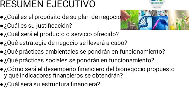 RESUMEN EJECUTIVO NEGOCIOS 
¿Cuál es el propósito de su plan de negocio 
¿Cuál es su justificación? 
¿Cuál será el producto o servicio ofrecido? 
¿Qué estrategia de negocio se llevará a cabo? 
¿Qué prácticas ambientales se pondrán en funcionamiento? 
¿Qué prácticas sociales se pondrán en funcionamiento? 
¿Cómo será el desempeño financiero del bionegocio propuesto 
y qué indicadores financieros se obtendrán? 
¿Cuál será su estructura financiera?