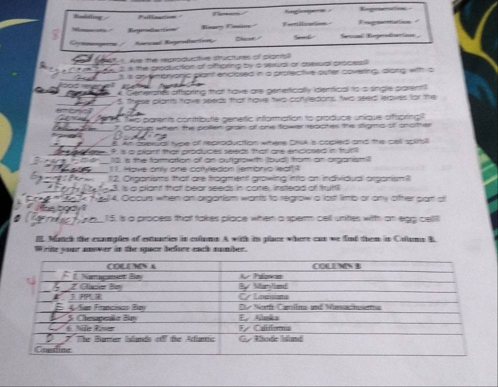 Butting Pollinction Ratiae Regreseccatios 
Furntiimantion Ergmentatioon 
Rerten 
See Semani Rerodianto 
Dmegenn 
Are the rproductfive stuctures of plamy? 
2, is the production of offspting by a sexual or crexual procesl? 
3. is apemonatic plari enclored in a profective oster coverting, diong with a 
looc 
A. Generates ofipting that have are genefically identica to a single paren? 
6. These plants hove seeds that hove two cotyledons, two seed leaves for the 

a No parents conbute genertic information to produce untique ofsoting 
7 Gogup witen the polen gran of one fower reactes the stigmo of prather 
B. An aserual twoe of reproduction where CruA is capied and the cell spits? 
P. is a plant than produces seeds that are emdiosed in fun? 
18. is the formotion of as outigawth (bucl) from an arganan? 
11 Hove only one cotyledon (jembryo leat)? 
12. Organisms that are fragment growing into on indiwidudl argarism? 
ce tod. is a plant that bear seeds in core, instead of trut? 
3k h914. Occus wihen an arganism worts to regraw a lost linb or any ofter pat of 
he bod ? 
15. Is a process that takes place when a sperm cell unites with an egg cel? 
El Match the exnples of estunties in columa A with is plce where can we find then in Columa B 
Write your anower in te space befre each number.