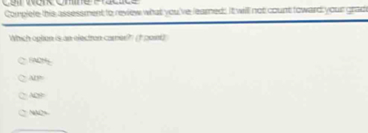 Ceir work Ohine Flacice
Complele this assessment to review what you've learned. It will not count toward your grad
Which oplon is an electron camer? (t point)
SADM
Ary
ADB
NAO