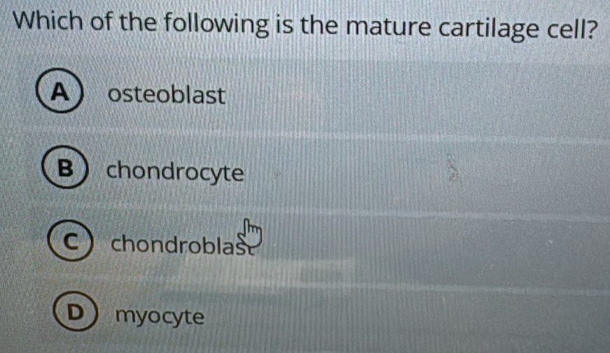 Which of the following is the mature cartilage cell?
A  osteoblast
B chondrocyte
C chondroblas
Dmyocyte