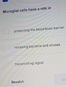 Microglial cells have a role in
protecting the blood brain barrier
removing bacteria and viruses
transmitting signal
Su
Rewatch