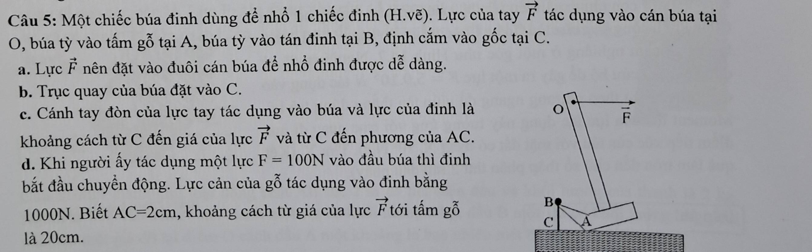 Một chiếc búa đinh dùng để nhổ 1 chiếc đinh (H.vwidehat e). Lực của tay vector F tác dụng vào cán búa tại 
O, búa tỳ vào tấm gỗ tại A, búa tỳ vào tán đinh tại B, định cắm vào gốc tại C. 
a. Lực vector F nên đặt vào đuôi cán búa để nhổ đinh được dễ dàng. 
b. Trục quay của búa đặt vào C. 
c. Cánh tay đòn của lực tay tác dụng vào búa và lực của đinh là
vector F
khoảng cách từ C đến giá của lực vector F và từ C đến phương của AC. 
d. Khi người ấy tác dụng một lực F=100N vào đầu búa thì đinh 
bắt đầu chuyển động. Lực cản của gỗ tác dụng vào đinh bằng
1000N. Biết AC=2cm , khoảng cách từ giá của lực vector F tới tấm gỗ 
B 
C A 
là 20cm.