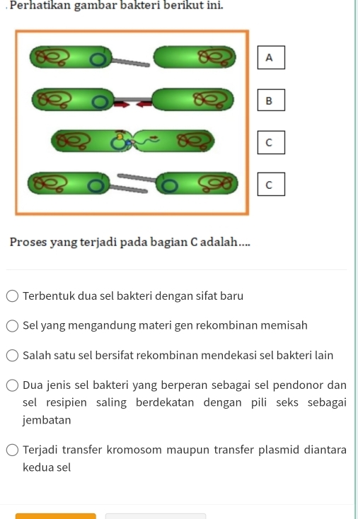 Perhatikan gambar bakteri berikut ini.
Proses yang terjadi pada bagian C adalah....
Terbentuk dua sel bakteri dengan sifat baru
Sel yang mengandung materi gen rekombinan memisah
Salah satu sel bersifat rekombinan mendekasi sel bakteri lain
Dua jenis sel bakteri yang berperan sebagai sel pendonor dan
sel resipien saling berdekatan dengan pili seks sebagai
jembatan
Terjadi transfer kromosom maupun transfer plasmid diantara
kedua sel