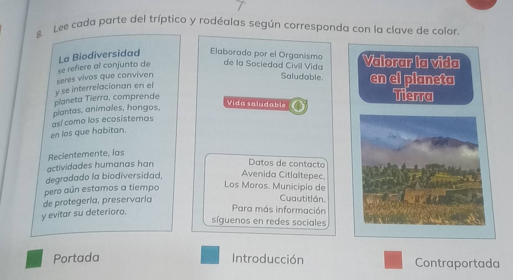 Lee cada parte del tríptico y rodéalas según corresponda con la clave de color. 
La Biodiversidad Elaborado por el Organismo 
se refiere al conjunto de 
de la Sociedad Civil Vida 
Valorar la vida 
seres vivos que conviven Saludable. en el planeta 
y se interrelacionan en el 
planeta Tierra, comprende 
Vida saludable 
Tierra 
plantas, animales, hongos, 
así como los ecosistemas 
en los que habitan. 
Recientemente, las 
actividades humanas han 
Datos de contacto 
degradado la biodiversidad, 
Avenida Citlaltepec, 
pero aún estamos a tiempo 
Los Moros. Municipio de 
de protegerla, preservarla 
Cuautitlán. 
y evitar su deterioro. 
Para más información 
síguenos en redes sociales 
Portada Introducción 
Contraportada