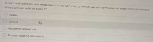 Tube 1 will contain our negative control sample, to which we will compare our experimental sample
What will we add to tube 1?
Water
DNA A
Aptamer sequence
Protein-coding sequence