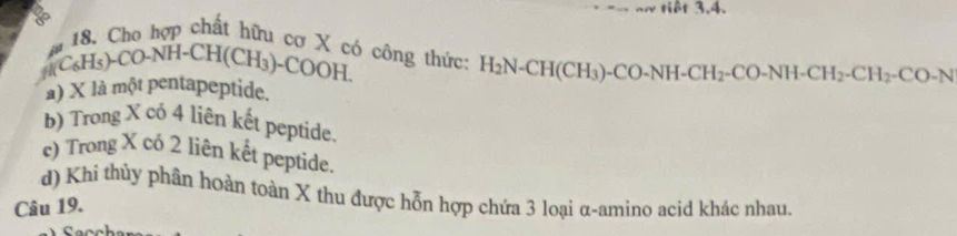 tiết 3.4.
18. Cho hợp chất hữu cơ X có công thức: H_2N-CH(CH_3)-CO-NH-CH_2-CO-NH-CH_2-CH_2-CO-N
a
C_6H_5)-CO-NH-CH(CH_3)-COOH.
à) X là một pentapeptide.
b) Trong X có 4 liên kết peptide.
c) Trong X có 2 liên kết peptide.
d) Khi thủy phân hoàn toàn X thu được hỗn hợp chứa 3 loại α-amino acid khác nhau.
Câu 19.