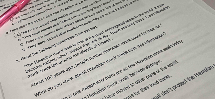 me: _pend mo
What a ammals who spend mo
mammals who spend most of 
D. reptiles who spend time on land and 
. How does the author describe Hawaiian monk
)They were named after monks because they look lik
. They were named after lawyers because they like to argu
They were named after monks because they spend lots of time
They were named after monks because they eat similar foods as mo
he Hawaiian monk seal is one of the most endangered seals in the world. It m
come extinct, which means they will all die. There are only about 1,200 Hawa
. Read the following sentences from the tex
bout 100 years ago, people hunted Hawaiian monk seals for their f
onk seals left around the islands of Hawaii
hat do you know about Hawaiian monk seals from this informati
is one reason why there are so few Hawaiian monk seals tod
have moved to other parts of the wor !
* Hawaiian monk seals become stronge
v aii on't rotect the Hawaiia
hus for their loud bark