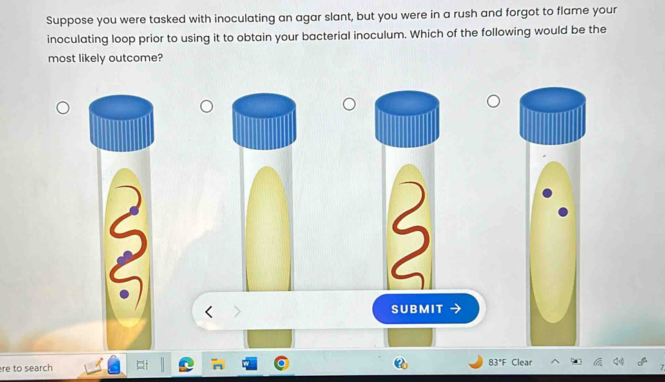 Solved: Suppose you were tasked with inoculating an agar slant, but you ...
