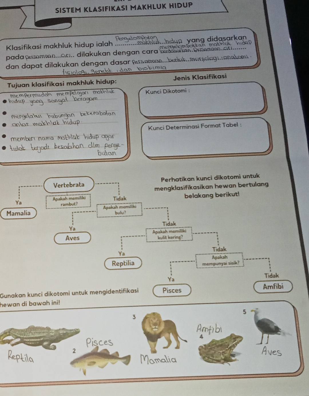 SISTEM KLASIFIKASI MAKHLUK HIDUP 
Klasifikasi makhluk hidup ialah .... ..mkhlukhidun yang didasarkan 
hut h d 
e nge 
pada psomenn.ac. dilakukan dengan cara bnaoria . C a on. ∠l... 
dan dapat dilakukan dengan dasar rs am on o og o t om 
ma 
Tujuan klasifikasi makhluk hidup: Jenis Klasifikasi 
MemPermudah mempelojarı ma ut Kunci Dikotomi : 
gan beterabatan 
_ 
Kunci Determinasi Format Tabel : 
memberi nama mathlüt hidup agar 
butan 
M 
Gunakan kunci dikotomi untuk mengidentifikasi 
hewan di bawah ini!