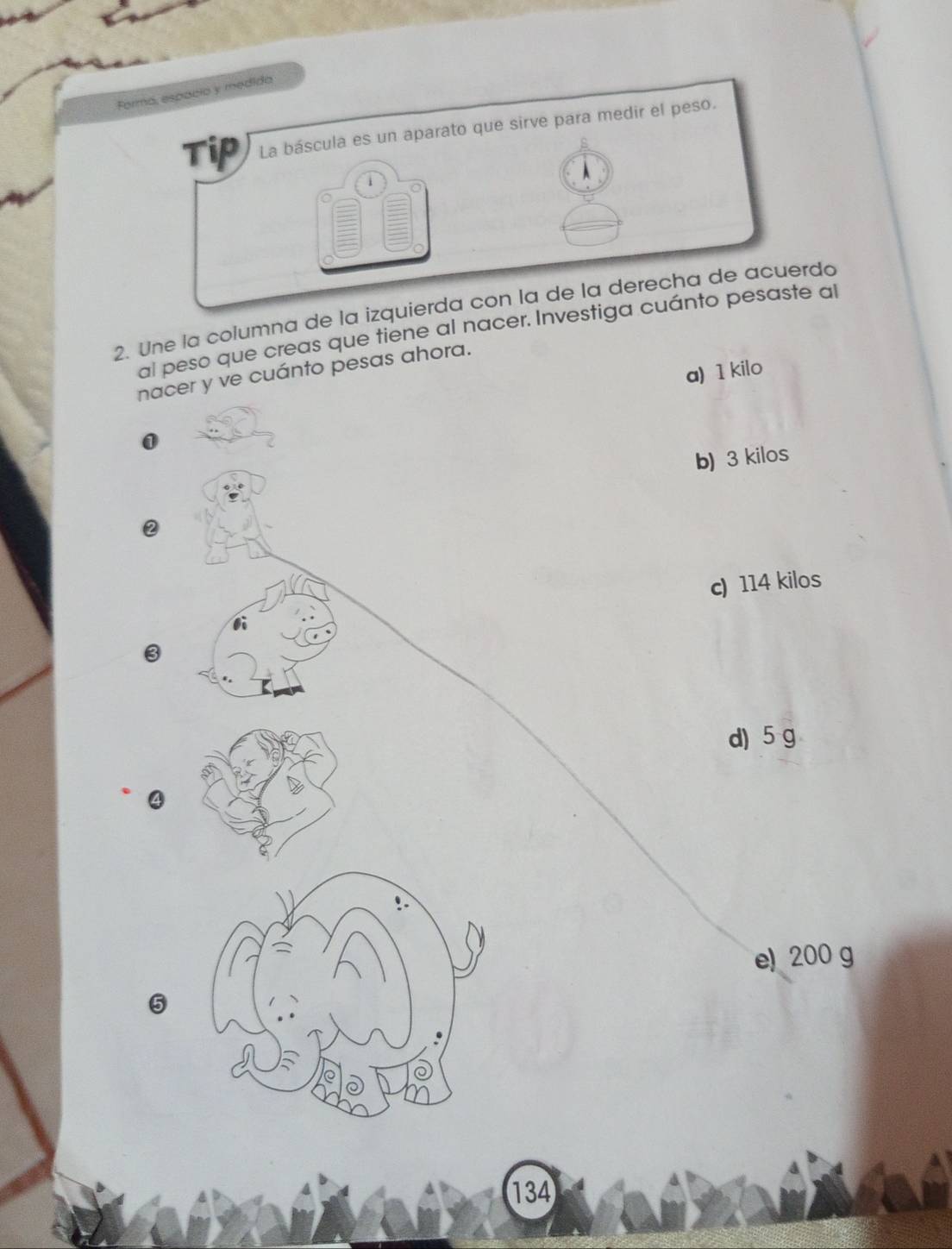 Forma, espacio y medida
Tip La báscula es un aparato que sirve para medir el peso.
i
2. Une la columna de la izquierda con la de la derecha de acuerdo
al peso que creas que tiene al nacer. Investiga cuánto pesaste al
a) 1 kilo
nacer y ve cuánto pesas ahora.
b) 3 kilos
c) 114 kilos
1i
3
d) 5 g
④
e 200 g
134
