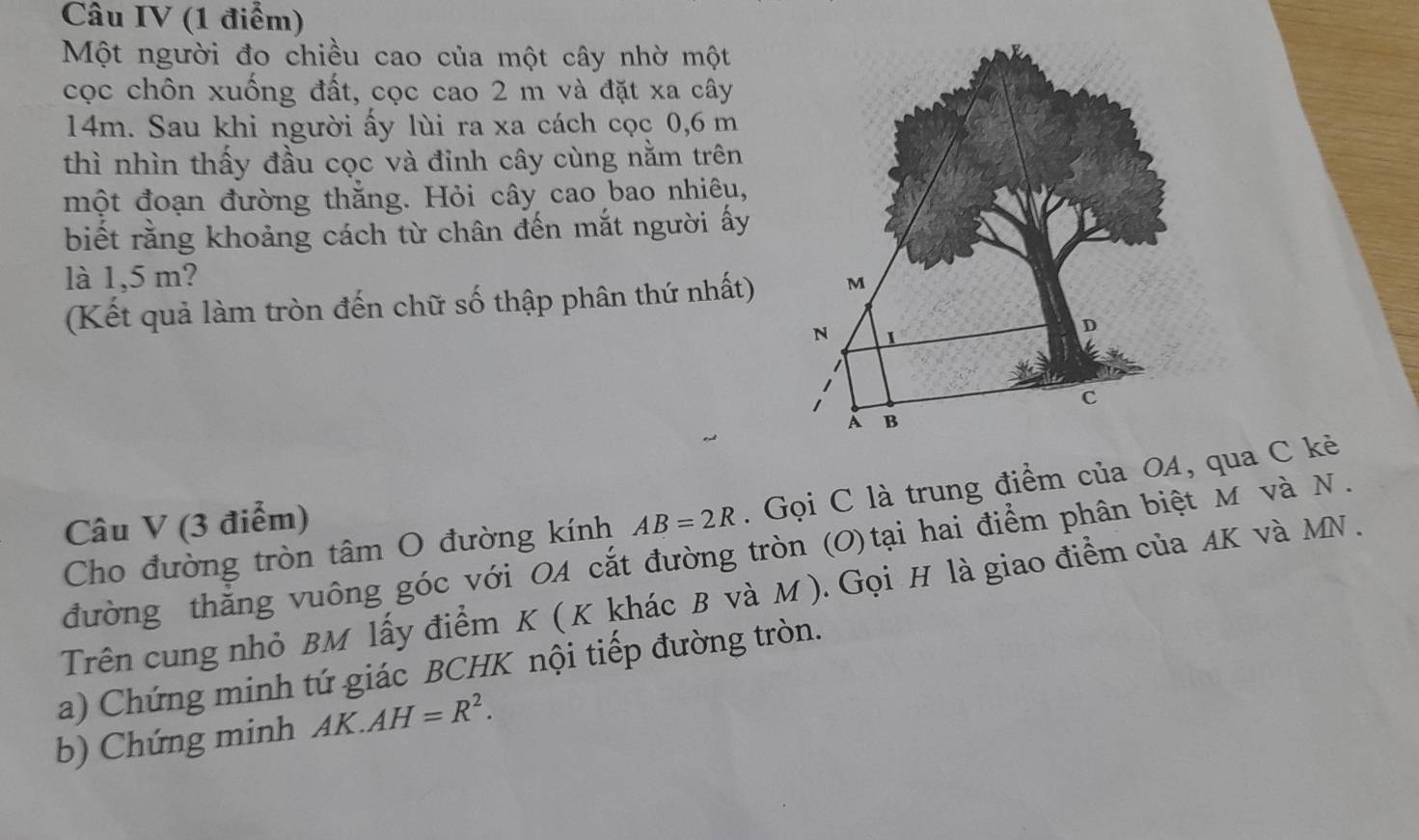 Câu IV (1 điểm) 
Một người đo chiều cao của một cây nhờ một 
cọc chôn xuống đất, cọc cao 2 m và đặt xa cây
14m. Sau khi người ấy lùi ra xa cách cọc 0,6 m
thì nhìn thấy đầu cọc và đỉnh cây cùng nằm trên 
một đoạn đường thằng. Hỏi cây cao bao nhiêu, 
biết rằng khoảng cách từ chân đến mắt người ấy 
là 1,5 m? 
(Kết quả làm tròn đến chữ số thập phân thứ nhất) 
Câu V (3 điểm) AB=2R. Gọi C là trung điểm của OA, qua C kẻ 
Cho đường tròn tâm O đường kính 
đường thăng vuông góc với OA cắt đường tròn (O)tại hai điểm phân biệt M và N. 
Trên cung nhỏ BM lấy điểm K ( K khác B và M). Gọi H là giao điểm của AK và MN. 
a) Chứng minh tứ giác BCHK nội tiếp đường tròn. 
b) Chứng minh AK.AH=R^2.