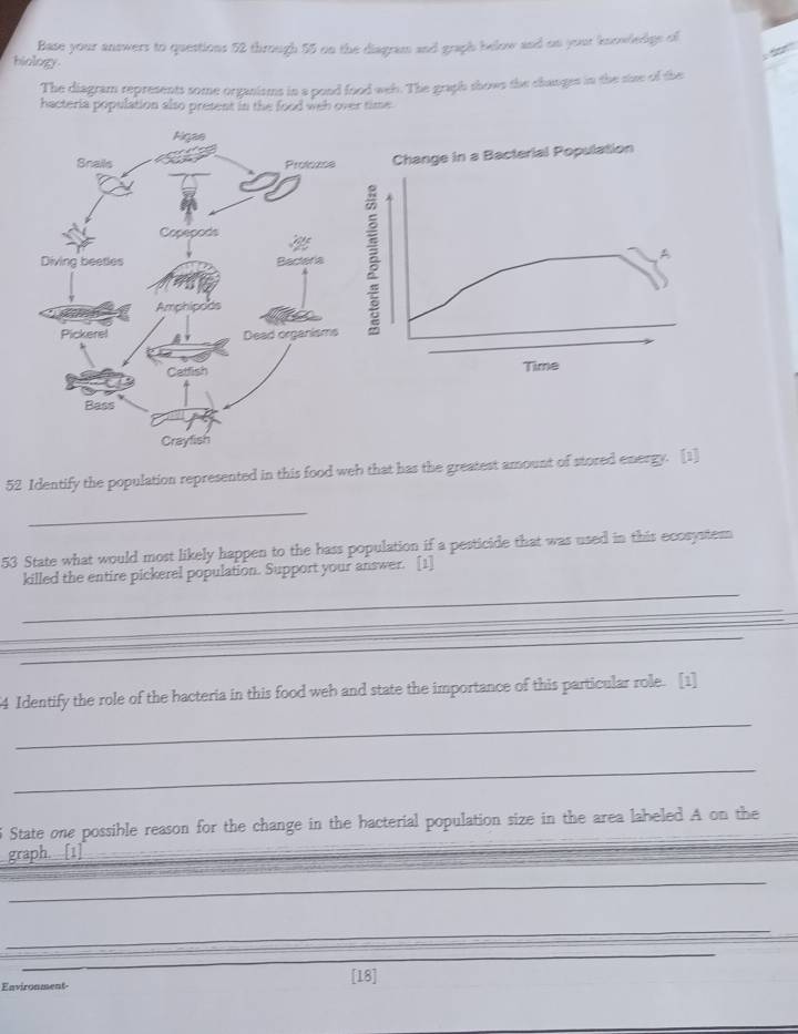 Base your answers to questions 52 through 55 on the diagram and graph below and on your knowledge of 
biology 
The diagram represents some organisms in a pond food weh. The graph shows the changes in the siae of the 
hacteria population also present in the food weh over time 
Change in a Bacterial Population 
Time 
52 Identify the population represented in this food weh that has the greatest amount of stored energy. [1] 
_ 
53 State what would most likely happen to the hass population if a pesticide that was used in this ecosystem 
_ 
killed the entire pickerel population. Support your answer. [1] 
_ 
_ 
__ 
4 Identify the role of the bacteria in this food web and state the importance of this particular role. [1] 
_ 
_ 
State one possible reason for the change in the bacterial population size in the area labeled A on the 
graph. [1]_ 
_ 
_ 
_ 
_ 
_ 
_ 
Environment- [18]