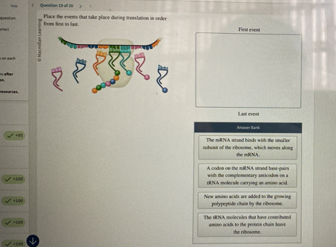 Place the events that take place during translation in order
question from first to last.
First event
r on each 
aer

resources .
Last event
Answer Bank
+95 The mRNA strand binds with the smallee
subunit of the ribosome, which moves along the mRNA..
A codon on the mRNA strand base eair
with the complementary anticodon on a
+100 tRNA molecule carrying an amino acid.
+10 New amino acids are added to the growing
polypeptide chain by the ribosome.
The tRNA molecules that have contributed
+10 amino acids to the protein chain leave
the ribosome.
+100