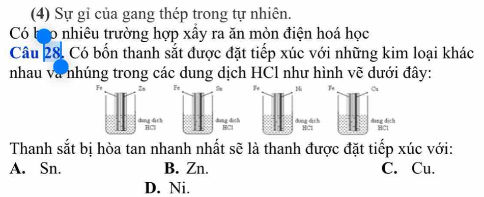 (4) Sự gỉ của gang thép trong tự nhiên.
Có bạo nhiêu trường hợp xầy ra ăn mòn điện hoá học
Câu 28, Có bốn thanh sắt được đặt tiếp xúc với những kim loại khác
nhau và nhúng trong các dung dịch HCl như hình vẽ dưới đây:
Fe Zn 
dung dich
HCl
Thanh sắt bị hòa tan nhanh nhất sẽ là thanh được đặt tiếp xúc với:
A. Sn. B. Zn. C. Cu.
D. Ni.