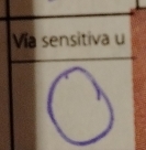 Vía sensitiva u