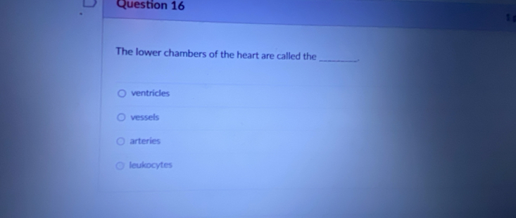 The lower chambers of the heart are called the _.
ventricles
vessels
arteries
leukocytes