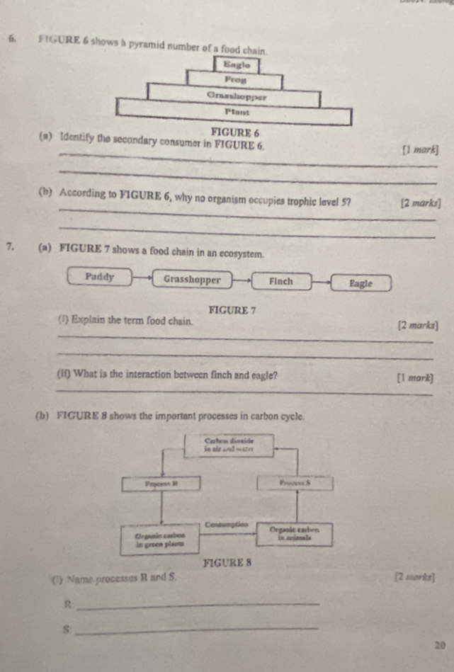 FIGURE 6 shows a pyramid number of a food cha
(a) Identify the secondary consumer in FIGURE 6.
_[1 mark]
_
_
(b) According to FIGURE 6, why no organism occupies trophic level 57 [2 marks]
_
7. (a) FIGURE 7 shows a food chain in an ecosystem.
Paddy Grasshopper Finch Eagle
FIGURE 7
_
(1) Explain the term food chain. [2 marks]
_
(ii) What is the interaction between finch and eagle? [1 mark]
_
(b) FIGURE 8 shows the important processes in carbon cycle.
(1) Name processes R and S. [2 marks]
_R
_s
20