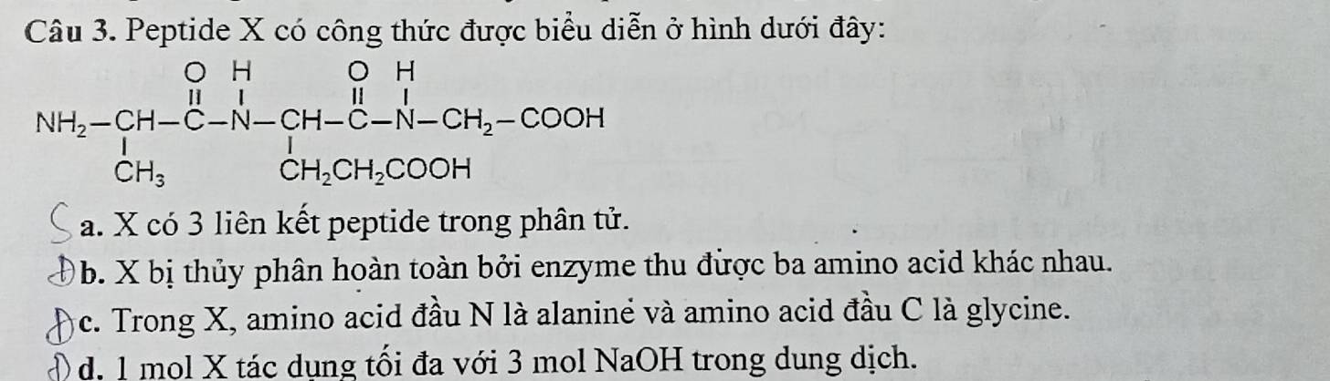 Peptide X có công thức được biểu diễn ở hình dưới đây:
NH_2-CH-C-N-CH-C-N-CH_2-COOH
a. X có 3 liên kết peptide trong phân tử.
b. X bị thủy phân hoàn toàn bởi enzyme thu được ba amino acid khác nhau.
c. Trong X, amino acid đầu N là alaniné và amino acid đầu C là glycine.
)d. 1 mol X tác dụng tối đa với 3 mol NaOH trong dung dịch.