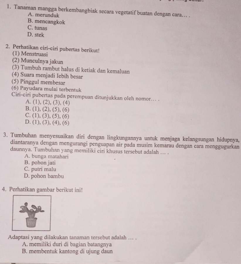 Tanaman mangga berkembangbiak secara vegetatif buatan dengan cara... .
A. merunduk
B. mencangkok
C. tunas
D. stek
2. Perhatikan ciri-ciri pubertas berikut!
(1) Menstruasi
(2) Munculnya jakun
(3) Tumbuh rambut halus di ketiak dan kemaluan
(4) Suara menjadi Iebih besar
(5) Pinggul membesar
(6) Payudara mulai terbentuk
Ciri-ciri pubertas pada perempuan ditunjukkan oleh nomor... .
A. . (1), (2), (3), (4)
B. . (1), (2), (5), (6)
C. (1), (3), (5), (6)
D. (1), (3), (4), (6)
3. Tumbuhan menyesuaikan diri dengan lingkungannya untuk menjaga kelangsungan hidupnya,
diantaranya dengan mengurangi penguapan air pada musim kemarau dengan cara menggugurkan
daunnya. Tumbuhan yang memiliki ciri khusus tersebut adalah ... .
A. bunga matahari
B. pohon jati
C. putri malu
D. pohon bambu
4. Perhatikan gambar berikut ini!
Adaptasi yang dilakukan tanaman tersebut adalah ... .
A. memiliki duri di bagian batangnya
B. membentuk kantong di ujung daun