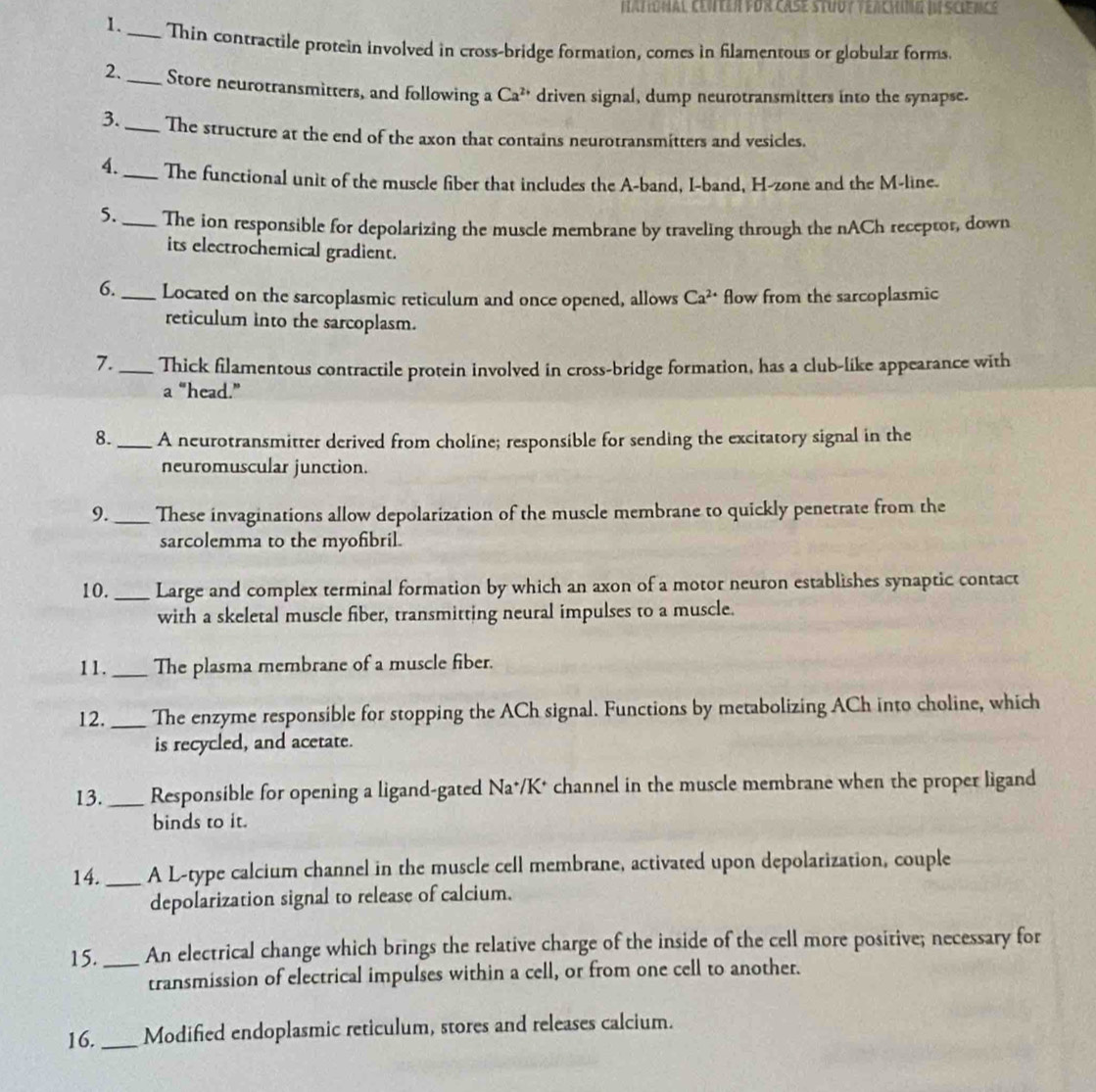 Hatomal center por case stuoy teachima t sclen s 
1._ Thin contractile protein involved in cross-bridge formation, comes in filamentous or globular forms
2._ Store neurotransmitters, and following a Ca^(2+) driven signal, dump neurotransmitters into the synapse.
3._ The structure at the end of the axon that contains neurotransmitters and vesicles.
4._ The functional unit of the muscle fiber that includes the A-band, I-band, H-zone and the M-line.
5._ The ion responsible for depolarizing the muscle membrane by traveling through the nACh receptor, down
its electrochemical gradient.
6._ Located on the sarcoplasmic reticulum and once opened, allows Ca^(2+) flow from the sarcoplasmic
reticulum into the sarcoplasm.
7._ Thick filamentous contractile protein involved in cross-bridge formation, has a club-like appearance with
a “head.”
8. _A neurotransmitter derived from choline; responsible for sending the excitatory signal in the
neuromuscular junction.
9._ These invaginations allow depolarization of the muscle membrane to quickly penetrate from the
sarcolemma to the myofibril.
10. _Large and complex terminal formation by which an axon of a motor neuron establishes synaptic contact
with a skeletal muscle fiber, transmitting neural impulses to a muscle.
11. _The plasma membrane of a muscle fiber.
12._ The enzyme responsible for stopping the ACh signal. Functions by metabolizing ACh into choline, which
is recycled, and acetate.
13. _Responsible for opening a ligand-gated Na*/K* channel in the muscle membrane when the proper ligand
binds to it.
14. _A L-type calcium channel in the muscle cell membrane, activated upon depolarization, couple
depolarization signal to release of calcium.
15._ An electrical change which brings the relative charge of the inside of the cell more positive; necessary for
transmission of electrical impulses within a cell, or from one cell to another.
16. _Modified endoplasmic reticulum, stores and releases calcium.