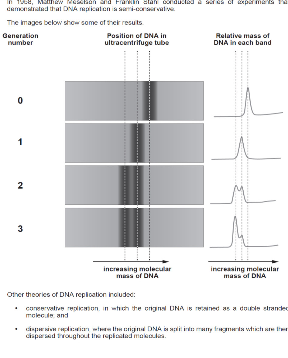 In 1958, Matthew Meselson and Franklin Stahl conducted a series of experiments tha
demonstrated that DNA replication is semi-conservative.
Th.
Generation
nu
ar
Other theories of DNA replication included:
conservative replication, in which the original DNA is retained as a double stranded
molecule; and
dispersive replication, where the original DNA is split into many fragments which are ther
dispersed throughout the replicated molecules.