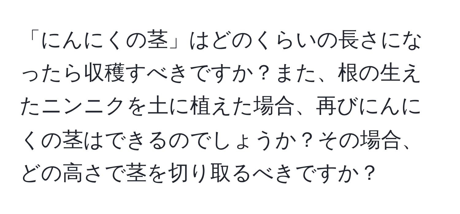 「にんにくの茎」はどのくらいの長さになったら収穫すべきですか？また、根の生えたニンニクを土に植えた場合、再びにんにくの茎はできるのでしょうか？その場合、どの高さで茎を切り取るべきですか？