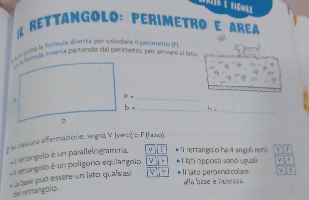 Risolto:Opalió e figure RεTTAngoLo: PERimetro e AREã m rma la formula ...