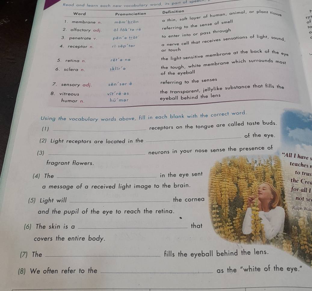 Read and learn each new vocabulary word, its part of speec
Word Pronunciation Definition
N
1.membrane n. měm brān a thin, soft layer of human, animal, or plant tissue
sy
2. olfactory adj. ǒl fǎk te rē referring to the sense of smell
of
to
3. penetrate v. pěn e trāt to enter into or pass through 
。
4. receptor n. rǐ sěp tər a nerve cell that receives sensations of light, sound,
or touch
5. retina n. rět a nə the light-sensitive membrane at the back of the eye
6. sclera n. sklir'ə the tough, white membrane which surrounds most
of the eyeball
7. sensory adj. sěn sarē referring to the senses
8. vitreous vǐt rēes
the transparent, jellylike substance that fills the
humor n. hū mər eyeball behind the lens
Using the vocabulary words above, fill in each blank with the correct word.
(1)_
receptors on the tongue are called taste buds.
_of the eye.
(2) Light receptors are located in the
(3)_
neurons in your nose sense the presence of
l I have s
fragrant flowers.
teaches n
(4) The _in the eye sent
to trus
the Crea
a message of a received light image to the brain.
for all I
(5) Light will _the cornea not se
and the pupil of the eye to reach the retina.
Ralph Wal
(6) The skin is a _that
covers the entire body.
(7) The _fills the eyeball behind the lens.
(8) We often refer to the _as the “white of the eye.”