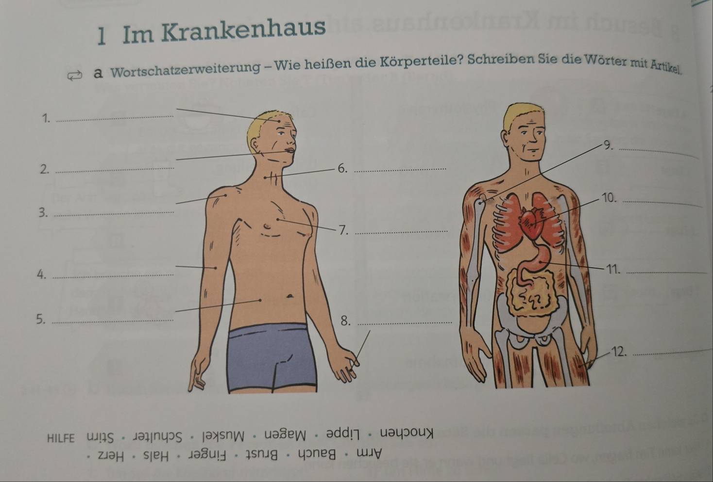 Im Krankenhaus 
a Wortschatzerweiterung - Wie heißen die Körperteile? Schreiben Sie die Wörter mit Artikel 
1. 
_ 
9._ 
2._ 
6._ 
10._ 
3._ 
7._ 
4._ 
11._ 

5._ 
8._ 
12. 
_ 
HLlFe US -Jəhnyəs 。 əysnW uə8eW ədd!] uəyɔouy 
zJəH sieH ə8u! - isnig - yoneg wu