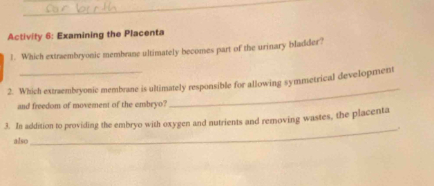 Activity 6: Examining the Placenta 
1. Which extraembryonic membrane ultimately becomes part of the urinary bladder? 
2. Which extraembryonic membrane is ultimately responsible for allowing symmetrical development 
and freedom of movement of the embryo? 
_ 
3. In addition to providing the embryo with oxygen and nutrients and removing wastes, the placenta 
_. 
also