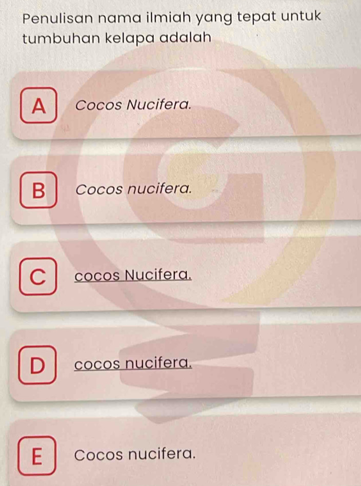 Penulisan nama ilmiah yang tepat untuk
tumbuhan kelapa adalah
A Cocos Nucifera.
B Cocos nucifera.
C cocos Nucifera.
D cocos nucifera.
E Cocos nucifera.