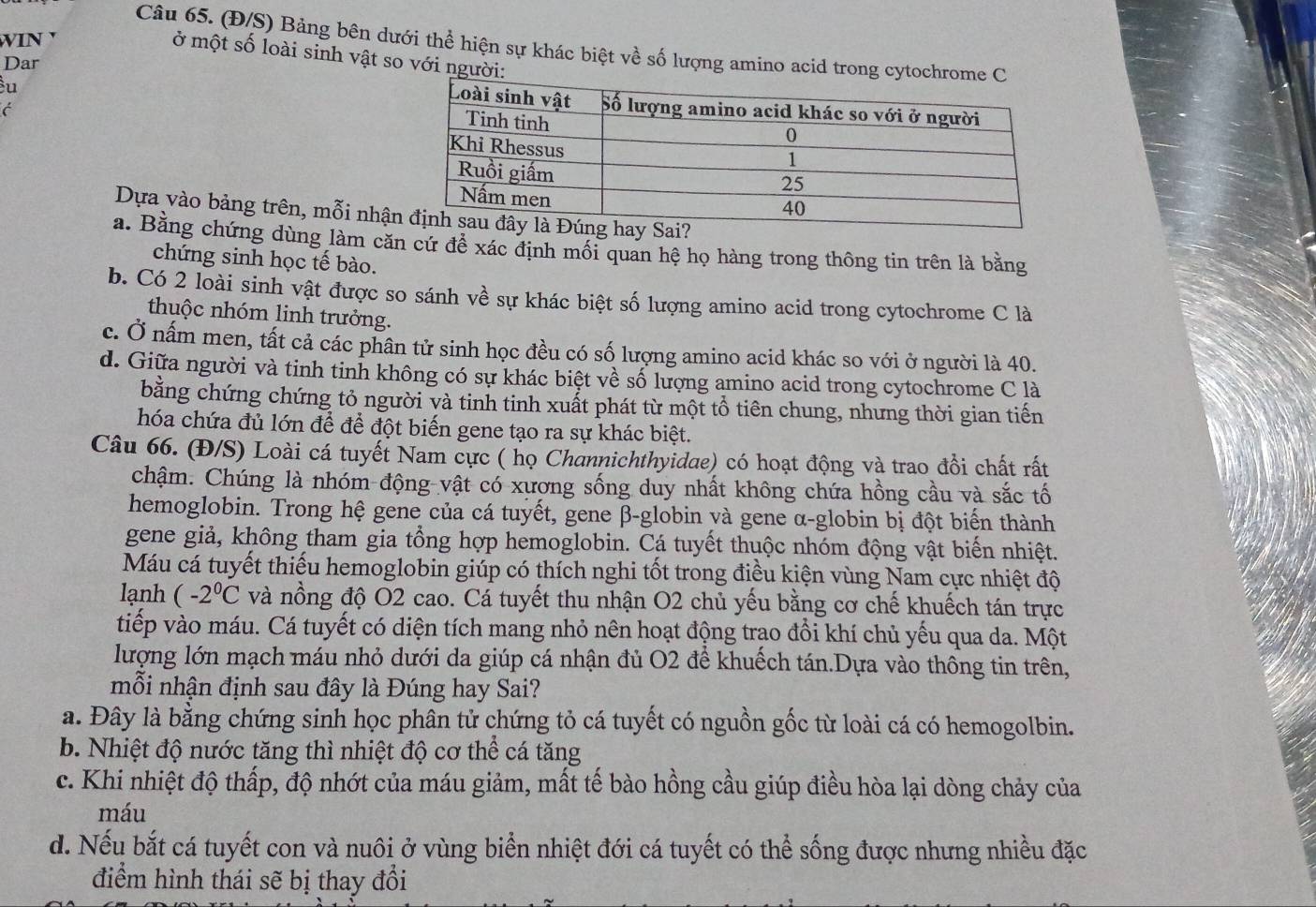 wIN '
Câu 65. (Đ/S) Bảng bên dưới thể hiện sự khác biệt về số lượng amino acid trong
ở một số loài sinh vật so với ngườ
Dar
u 
Dựa vào bảng trên, mỗi nhận
a. Bằng chứng dùng làm căn cứ đề xác định mồi quan hệ họ hàng trong thông tin trên là bằng
chứng sinh học tế bào.
b. Có 2 loài sinh vật được so sánh về sự khác biệt số lượng amino acid trong cytochrome C là
thuộc nhóm linh trưởng.
c. Ở nấm men, tất cả các phân tử sinh học đều có số lượng amino acid khác so với ở người là 40.
d. Giữa người và tinh tinh không có sự khác biệt về số lượng amino acid trong cytochrome C là
bằng chứng chứng tỏ người và tinh tinh xuất phát từ một tổ tiên chung, nhưng thời gian tiến
hóa chứa đủ lớn để để đột biến gene tạo ra sự khác biệt.
Câu 66. (Đ/S) Loài cá tuyết Nam cực ( họ Channichthyidae) có hoạt động và trao đồi chất rất
chậm. Chúng là nhóm động vật có xương sống duy nhất không chứa hồng cầu và sắc tố
hemoglobin. Trong hệ gene của cá tuyết, gene β-globin và gene α-globin bị đột biển thành
gene giả, không tham gia tổng hợp hemoglobin. Cá tuyết thuộc nhóm động vật biến nhiệt.
Máu cá tuyết thiếu hemoglobin giúp có thích nghi tốt trong điều kiện vùng Nam cực nhiệt độ
lạnh ( -2°C và nồng độ O2 cao. Cá tuyết thu nhận O2 chủ yếu bằng cơ chế khuếch tán trực
tiếp vào máu. Cá tuyết có diện tích mang nhỏ nên hoạt động trạo đồi khí chủ yếu qua da. Một
lượng lớn mạch máu nhỏ dưới da giúp cá nhận đủ O2 để khuếch tán.Dựa vào thông tin trên,
mỗi nhận định sau đây là Đúng hay Sai?
a. Đây là bằng chứng sinh học phân tử chứng tỏ cá tuyết có nguồn gốc từ loài cá có hemogolbin.
b. Nhiệt độ nước tăng thì nhiệt độ cơ thể cá tăng
c. Khi nhiệt độ thấp, độ nhớt của máu giảm, mất tế bào hồng cầu giúp điều hòa lại dòng chảy của
máu
d. Nếu bắt cá tuyết con và nuôi ở vùng biển nhiệt đới cá tuyết có thể sống được nhưng nhiều đặc
điểm hình thái sẽ bị thay đổi