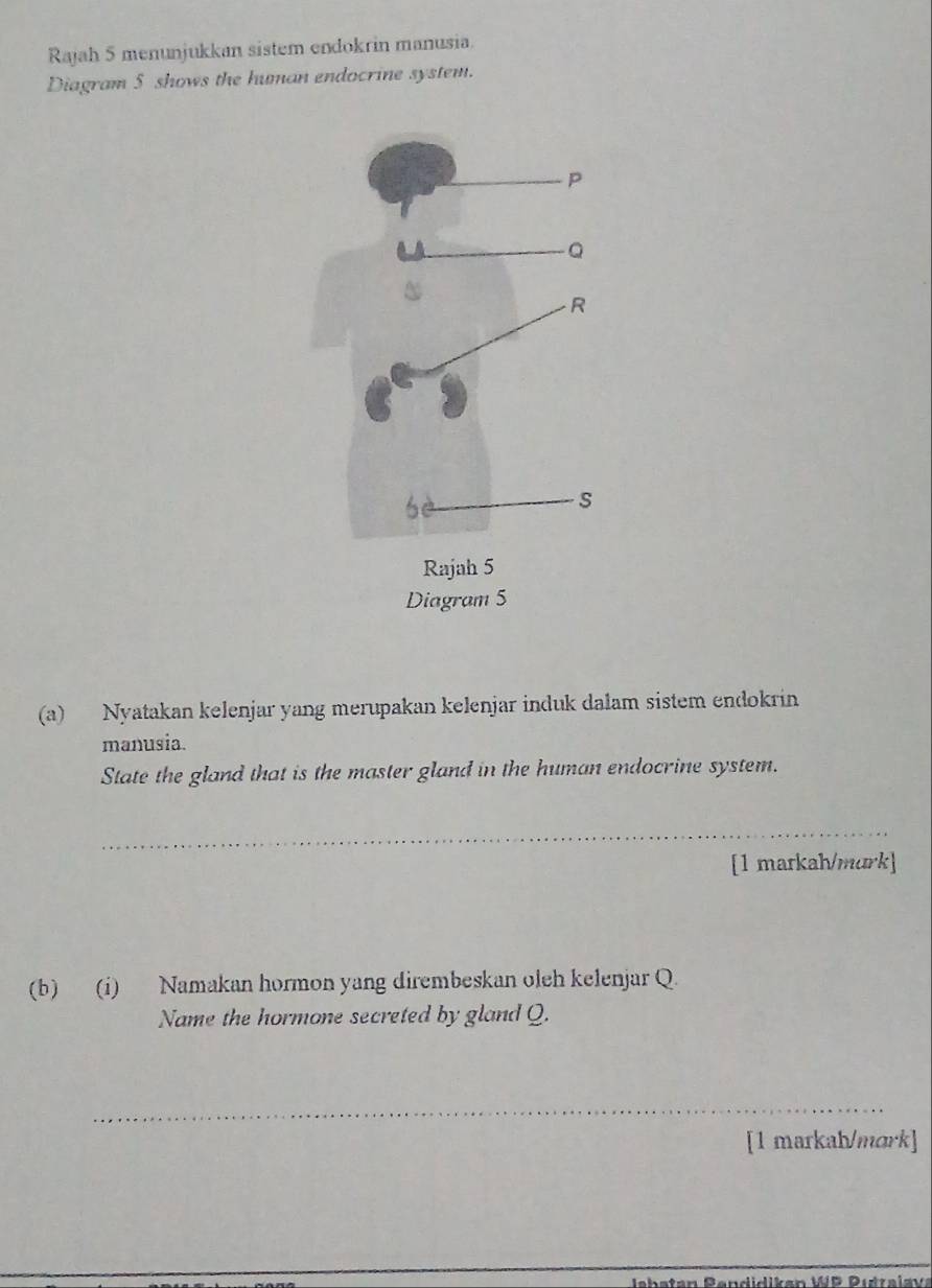 Rajah 5 menunjukkan sistem endokrin manusia. 
Diagram 5 shows the human endocrine system. 
(a) Nyatakan kelenjar yang merupakan kelenjar induk dalam sistem endokrin 
manusia. 
State the gland that is the master gland in the human endocrine system. 
_ 
[1 markah/murk] 
(b) (i) Namakan hormon yang dirembeskan oleh kelenjar Q 
Name the hormone secreted by gland Q. 
_ 
[1 markah/mork]