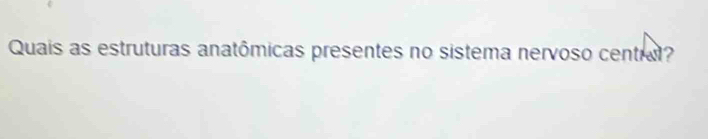 Quais as estruturas anatômicas presentes no sistema nervoso centra?