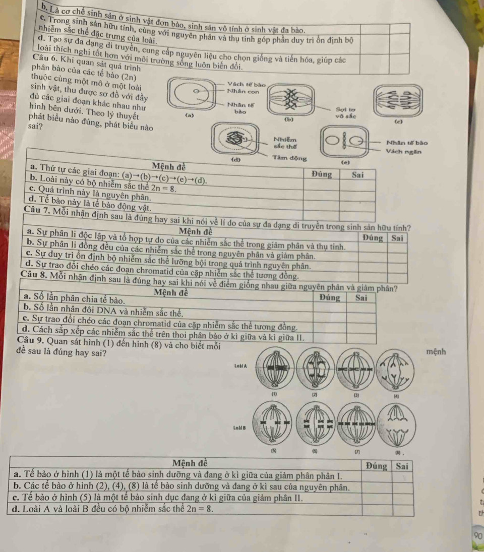 b. Là cơ chế sinh sản ở sinh vật đơn bào, sinh sản vô tính ở sinh vật đa bảo.
C. Trong sinh sản hữu tính, cùng với nguyên phân và thụ tinh góp phần duy trì ổn định bộ
nhiễm sắc thể đặc trưng của loài.
d. Tạo sự đa dạng di truyền, cung cấp nguyên liệu cho chọn giống và tiến hóa, giúp các
loài thích nghi tốt hơn với môi trường sống luôn biến đổi
Câu 6. Khi quan sát quá trình
phân bào của các tế bảo (2n)
thuộc cùng một mô ở một loài
Vách tế bào
sinh vật, thu được sơ đồ với đầy
Nhân con
đủ các giai đoạn khác nhau như
Nhân tế Sợi tơ
bào
hình bên dưới. Theo lý thuyết (a) (b) vô sắc
(c)
phát biểu nào đúng, phát biểu nào
sai?
Nhiễm Nhân tế bào
sắc thế Vách ngăn
(d) Tâm động (e)
Mệnh đề Đúng Sai
a. Thứ tự các giai đoạn: (a)→(b)→(c)→(e)→(d).
b. Loài này có bộ nhiễm sắc thể 2n=8.
c. Quá trình này là nguyên phân.
d. Tế bào này là tế bào động vật.
Câu 7. Mỗi nhận định sau là đúng hay sai khi nói về lí do của sự đa dạng di truyền trong sinh sản hữu tính?
Mệnh đề Đúng Sai
a. Sự phân li độc lập và tổ hợp tự do của các nhiễm sắc thể trong giảm phân và thụ tinh.
b. Sự phân li đồng đều của các nhiễm sắc thể trong nguyên phân và giảm phân.
c. Sự duy trì ồn định bộ nhiễm sắc thể lưỡng bội trong quá trình nguyên phân.
d. Sự trao đổi chéo các đoạn chromatid của cặp nhiễm sắc thể tương đồng.
Câu 8. Mỗi nhận định sau là đúng hay sai khi nói về điểm giống nhau giữa nguyên phân và giảm phân?
Mệnh đề
a. Số lần phân chia tế bào. Đúng Sai
b. Số lần nhân đôi DNA và nhiễm sắc thể.
c. Sự trao đổi chéo các đoạn chromatid của cặp nhiễm sắc thể tương đồng.
d. Cách sắp xếp các nhiễm sắc thể trên thoi phân bào ở kì giữa và kì giữa II.
Câu 9. Quan sát hình (1) đến hình (8) và cho biết mỗi
đề sau là đúng hay sai?ệnh
(1) 2) (4)
(5) (7 (8) ,
Mệnh đề Đúng Sai
a. Tế bào ở hình (1) là một tế bào sinh dưỡng và đang ở kì giữa của giảm phân phân I.
b. Các tế bào ở hình (2), (4), (8) là tế bào sinh dưỡng và đang ở kì sau của nguyên phân.
c. Tế bào ở hình (5) là một tế bào sinh dục đang ở kì giữa của giảm phân II.
d. Loài A và loài B đều có bộ nhiễm sắc thể 2n=8.
th
90