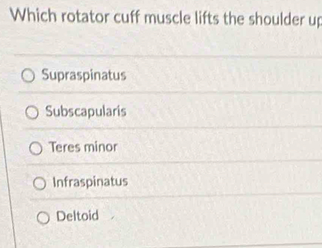 Which rotator cuff muscle lifts the shoulder up
Supraspinatus
Subscapularis
Teres minor
Infraspinatus
Deltoid