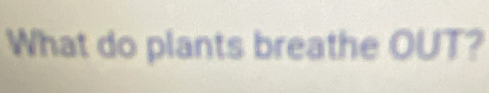 What do plants breathe OUT?